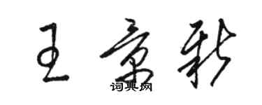 駱恆光王景新草書個性簽名怎么寫