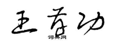 曾慶福王存功草書個性簽名怎么寫