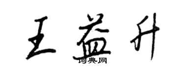 王正良王益升行書個性簽名怎么寫