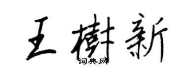 王正良王樹新行書個性簽名怎么寫