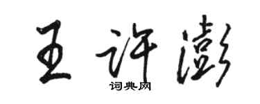 駱恆光王許澎行書個性簽名怎么寫