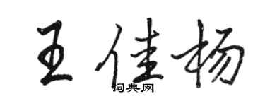 駱恆光王佳楊行書個性簽名怎么寫