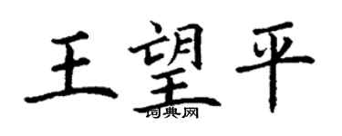 丁謙王望平楷書個性簽名怎么寫
