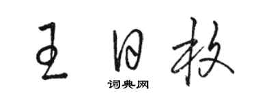 駱恆光王日枚草書個性簽名怎么寫