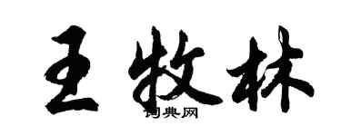 胡問遂王牧林行書個性簽名怎么寫
