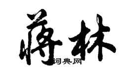 胡問遂蔣林行書個性簽名怎么寫