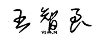 朱錫榮王智良草書個性簽名怎么寫