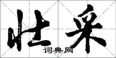 胡問遂壯採行書怎么寫