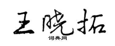 曾慶福王曉拓行書個性簽名怎么寫