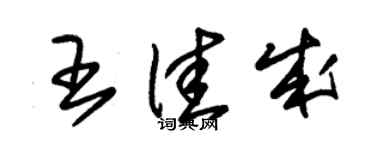 朱錫榮王佳成草書個性簽名怎么寫
