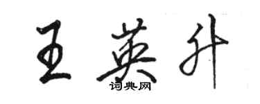 駱恆光王英升行書個性簽名怎么寫