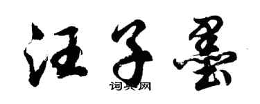 胡問遂汪子墨行書個性簽名怎么寫