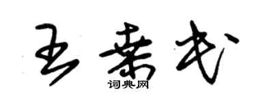 朱錫榮王桑民草書個性簽名怎么寫