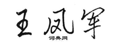 駱恆光王鳳軍行書個性簽名怎么寫