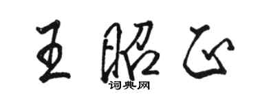 駱恆光王昭正行書個性簽名怎么寫