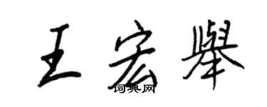 王正良王宏舉行書個性簽名怎么寫