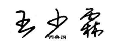 朱錫榮王少霖草書個性簽名怎么寫