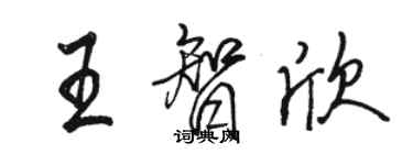 駱恆光王智欣行書個性簽名怎么寫