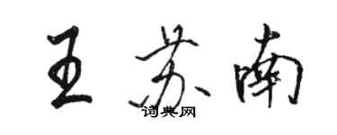 駱恆光王蘇南行書個性簽名怎么寫