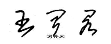 朱錫榮王聞閣草書個性簽名怎么寫