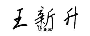 王正良王新升行書個性簽名怎么寫