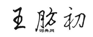 駱恆光王肪初行書個性簽名怎么寫