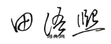 駱恆光田語熙草書個性簽名怎么寫