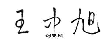 駱恆光王中旭草書個性簽名怎么寫
