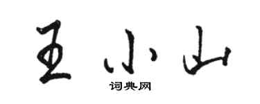 駱恆光王小山行書個性簽名怎么寫