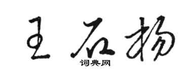 駱恆光王石楊草書個性簽名怎么寫