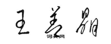 駱恆光王善晶草書個性簽名怎么寫