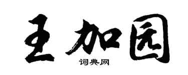 胡問遂王加園行書個性簽名怎么寫