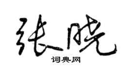 曾慶福張曉行書個性簽名怎么寫