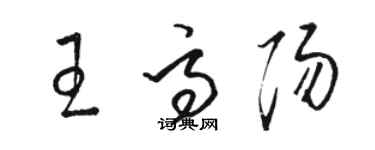 駱恆光王高陽草書個性簽名怎么寫