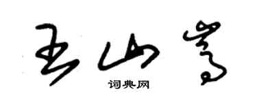 朱錫榮王山嵩草書個性簽名怎么寫