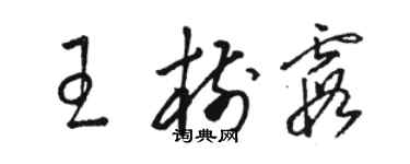 駱恆光王樹霞草書個性簽名怎么寫