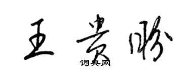 梁錦英王貴盼草書個性簽名怎么寫