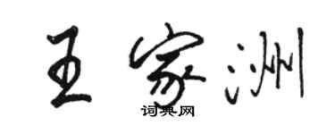 駱恆光王家洲行書個性簽名怎么寫