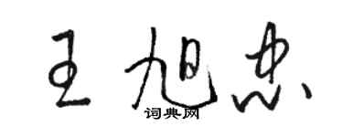 駱恆光王旭忠草書個性簽名怎么寫