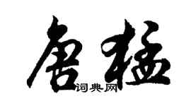 胡問遂唐猛行書個性簽名怎么寫