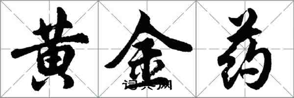 胡問遂黃金藥行書怎么寫