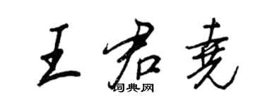 王正良王君堯行書個性簽名怎么寫