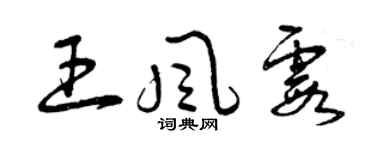 曾慶福王風霞草書個性簽名怎么寫