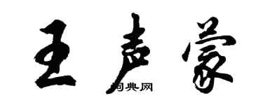 胡問遂王聲蒙行書個性簽名怎么寫
