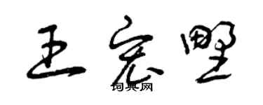 曾慶福王宏野草書個性簽名怎么寫