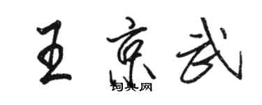 駱恆光王京武行書個性簽名怎么寫