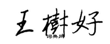 王正良王樹好行書個性簽名怎么寫