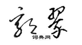 駱恆光郭翠草書個性簽名怎么寫