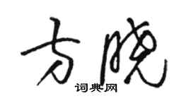 駱恆光方曉草書個性簽名怎么寫
