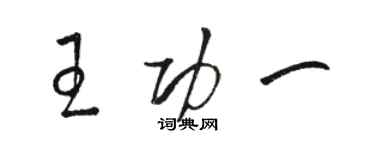 駱恆光王功一草書個性簽名怎么寫